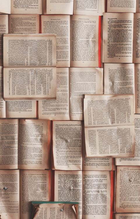 Library Administrator